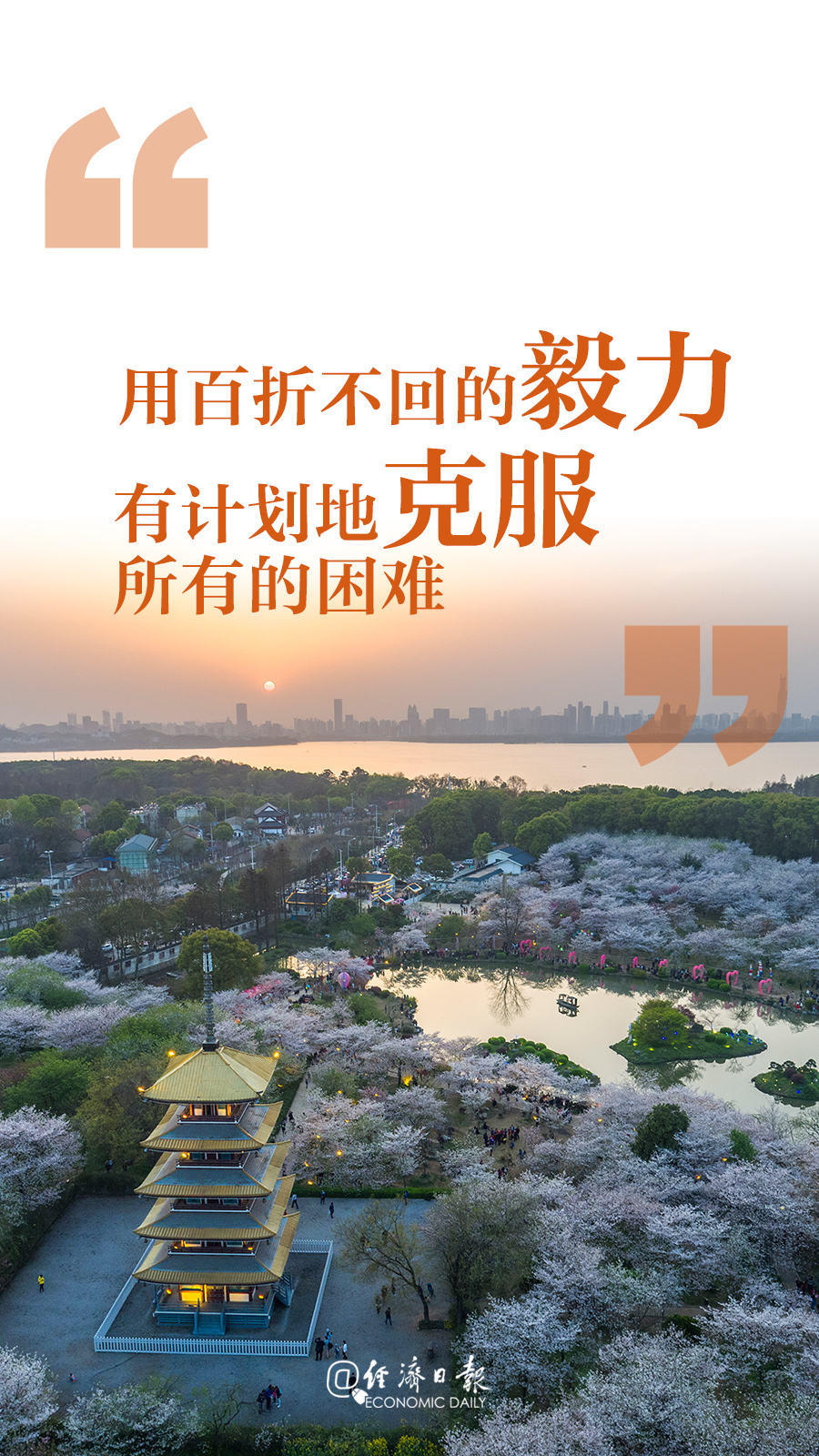 微信图片_20200203151004.jpg