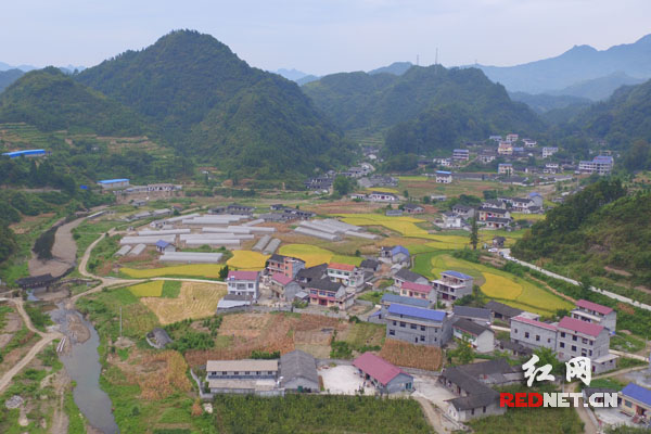 【网络媒体走转改】永顺三家田村：小基金大作用 留下永不撤走的扶贫队