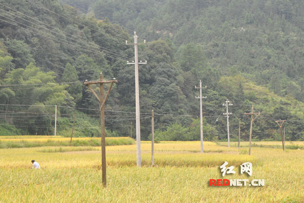 【网络媒体走转改】永顺三家田村：小基金大作用 留下永不撤走的扶贫队