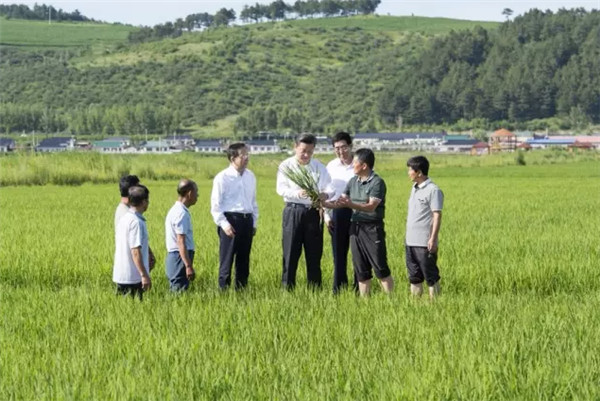 2015年，习总书记到过哪些地方？