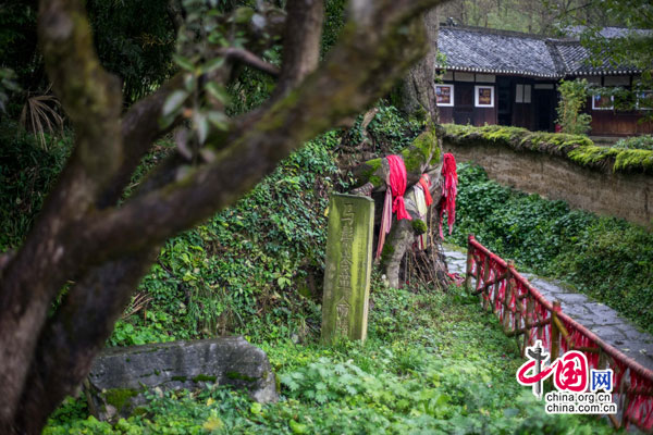 今日花茂村：山水田园牧歌样板村（组图）