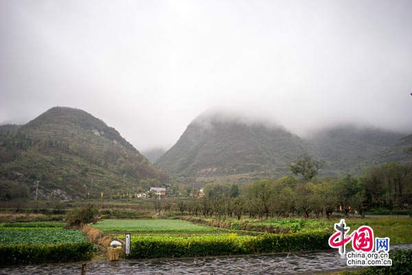 今日花茂村：山水田园牧歌样板村（组图）