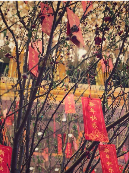 花城过年，广州花园酒店邀您尽享新春礼遇