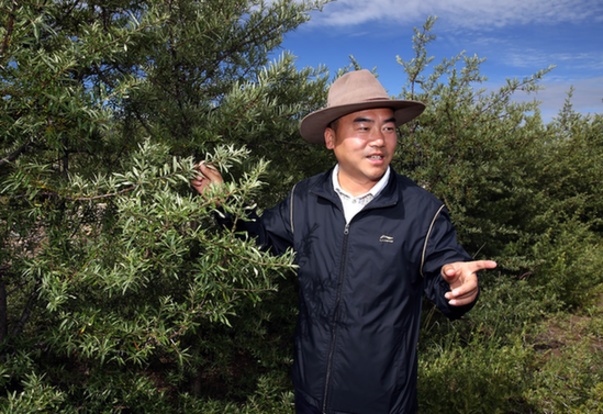 “绿色发展方式和绿色生活方式”采访手记：高原上的关中汉子
