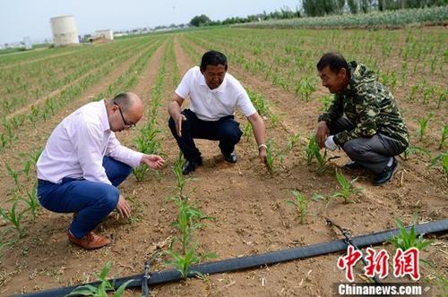 【砥砺奋进的五年】中国北疆的“绿色全覆盖”