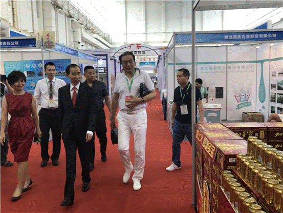 “中国品牌∙国家形象”高峰论坛：加多宝集团以文化筑梦民族品牌