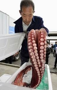 福岛首次销售近海鱼贝类产品 称没有放射性物质