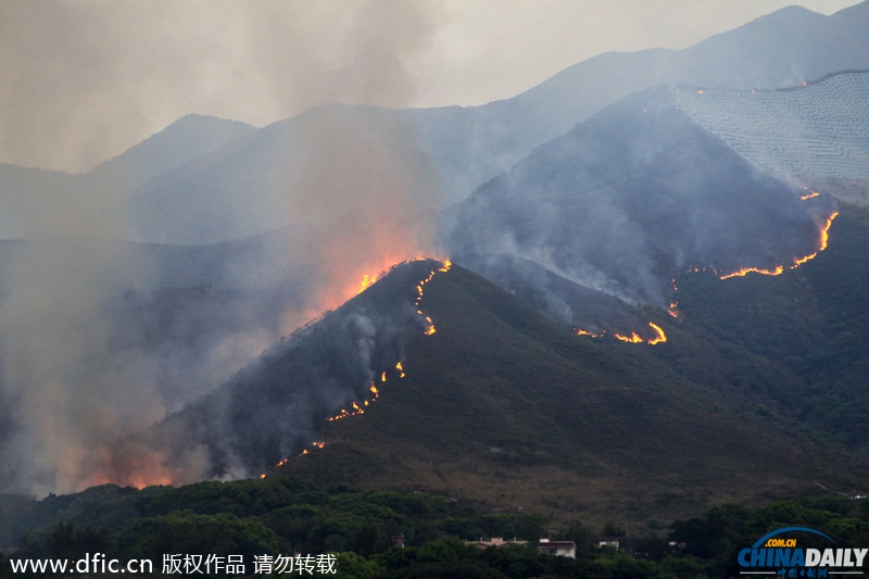 香港一山林突发大火 烧红整座山浓烟随风飘向深圳