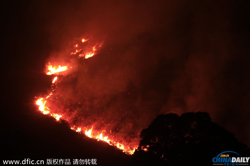 香港一山林突发大火 烧红整座山浓烟随风飘向深圳