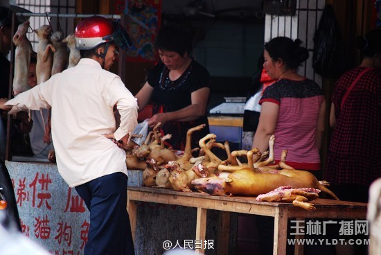 广西玉林狗肉节被指一天吃万只狗 舆论呼吁抵制