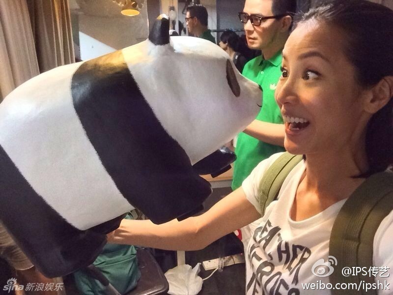 千只纸熊猫空降香港 刘嘉玲舒淇卖萌合影倡环保