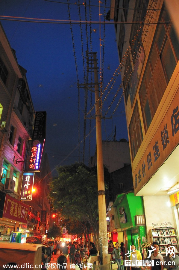 云南彝良上万只燕子电线上过夜