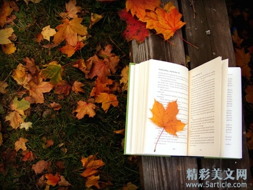 14位作家告诉你秋天应该做的事
