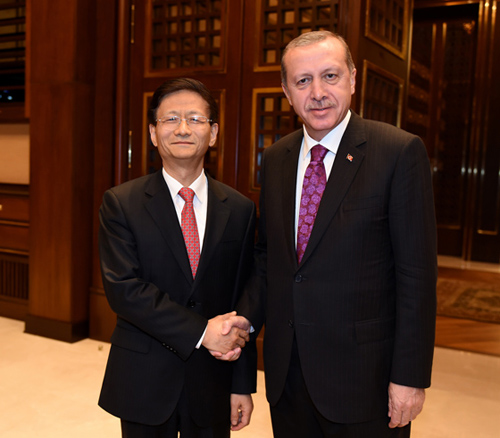 土耳其总统埃尔多安会见孟建柱