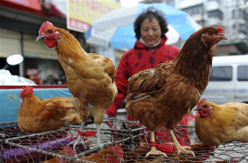 菲卫生署宣布从中国回来的菲律宾劳工可能死于禽流感