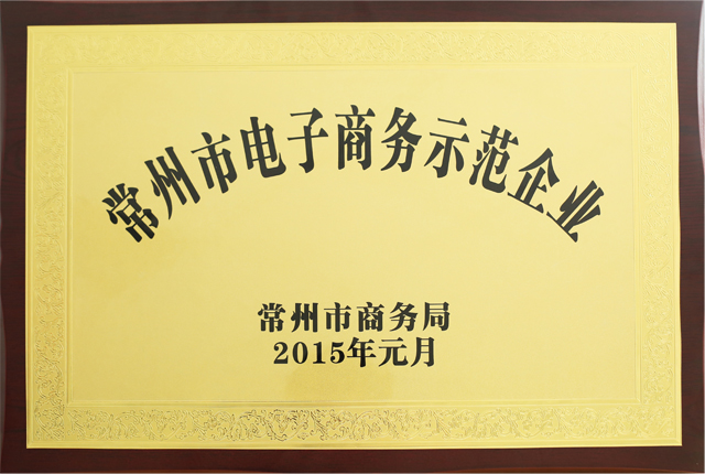 便携电动平衡车领跑者爱尔威全球火热招商