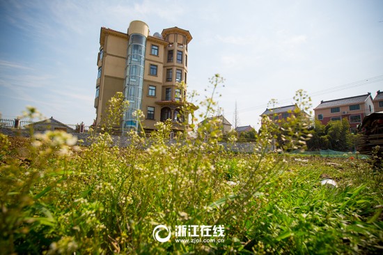 史上最壕农居房:游泳池+观光电梯+土豪金围栏