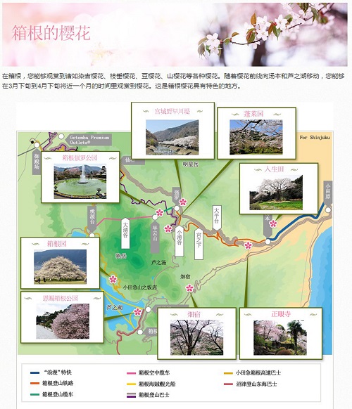 搭乘小田急浪漫特快 花见在日本箱根