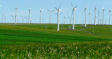 国家可再生能源技术创新战略联盟赴张北考察