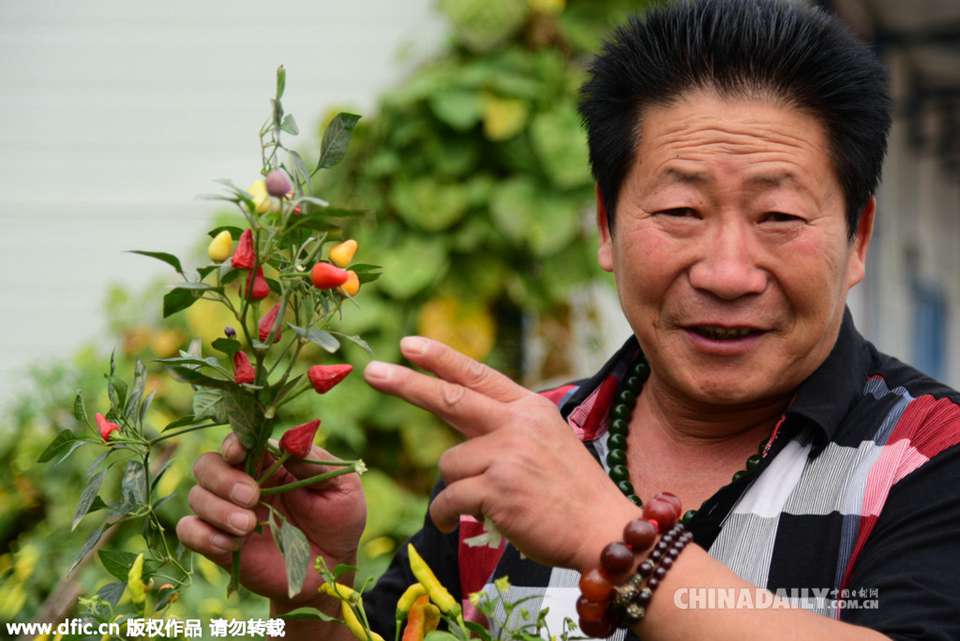 郑州男子嗜辣如命 每天吃5斤辣椒
