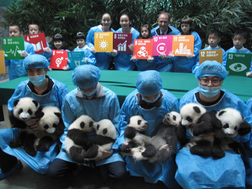 全球大熊猫保育推广活动在四川启动