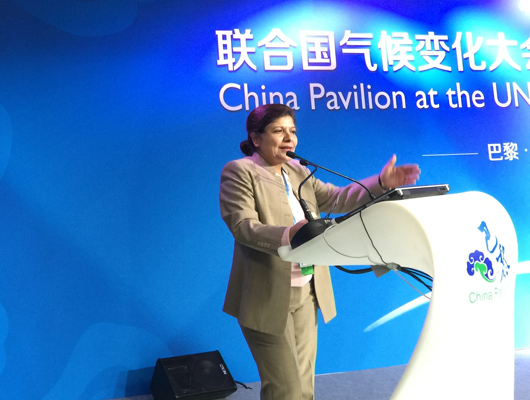 巴黎气候大会上的中国样本——库布其模式令世界关注
