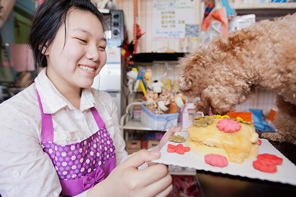 优质美食和电子商务推动中国宠物食品行业发展