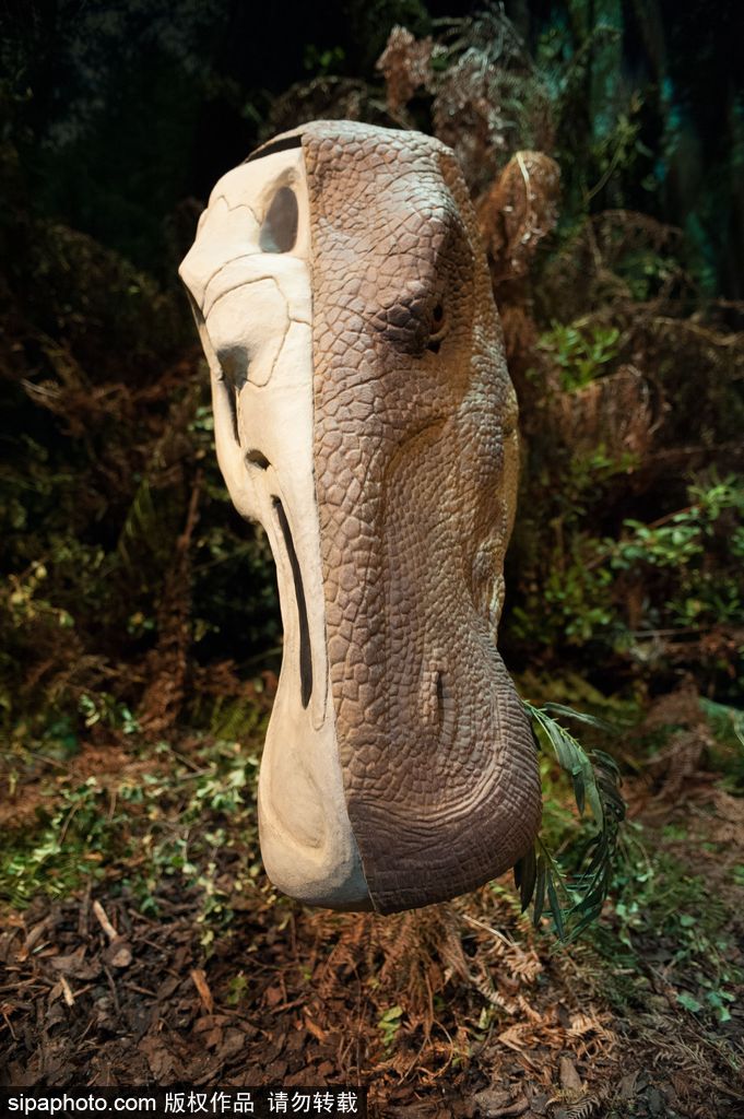 英国恐龙展超逼真 彷佛回到侏罗纪