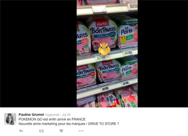 为了抓宠物小精灵pokémon 法国人也是拼了