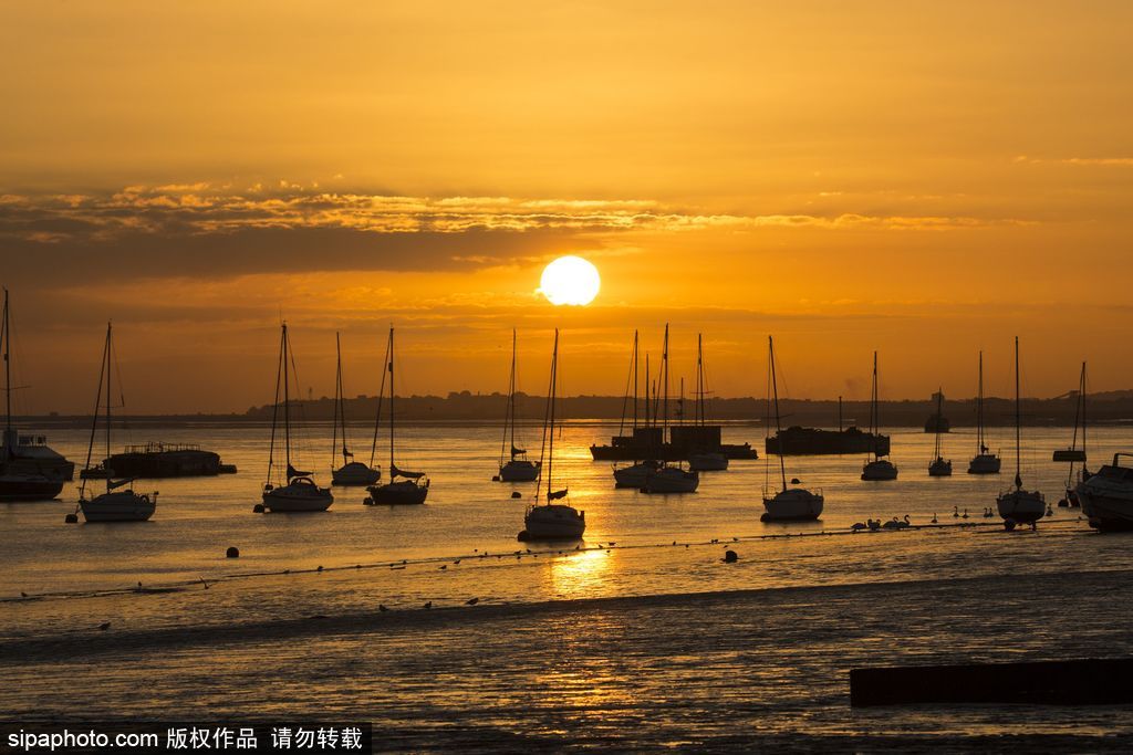 英国泰晤士河日出美景 迎来九月第一缕曙光