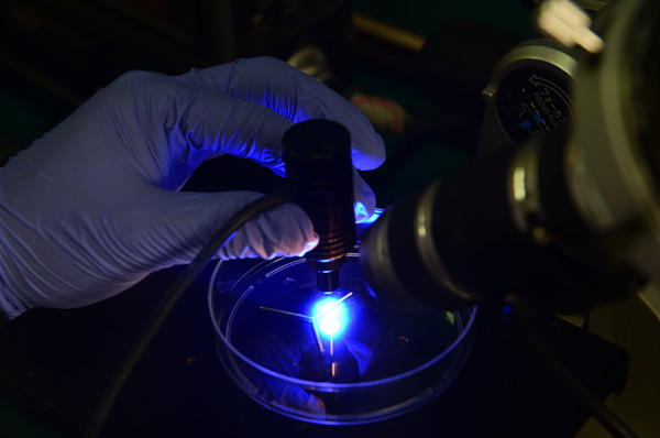 驭“水”有术：复旦大学研发出全新概念的光控微流体新技术