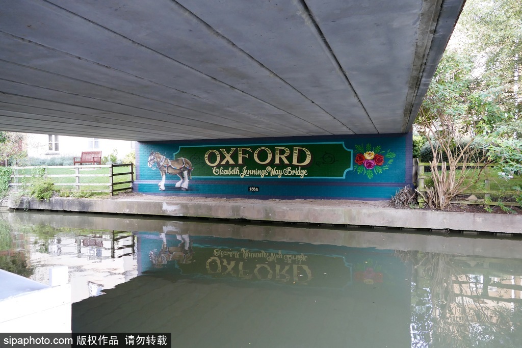 英国：卡通艺术作品亮相牛津运河桥底 缤纷多彩趣味十足