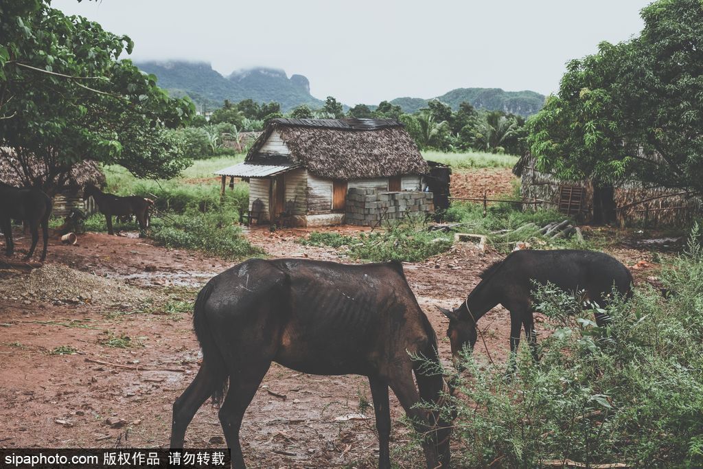 摄影师周游世界 用镜头记录各国绝美风光