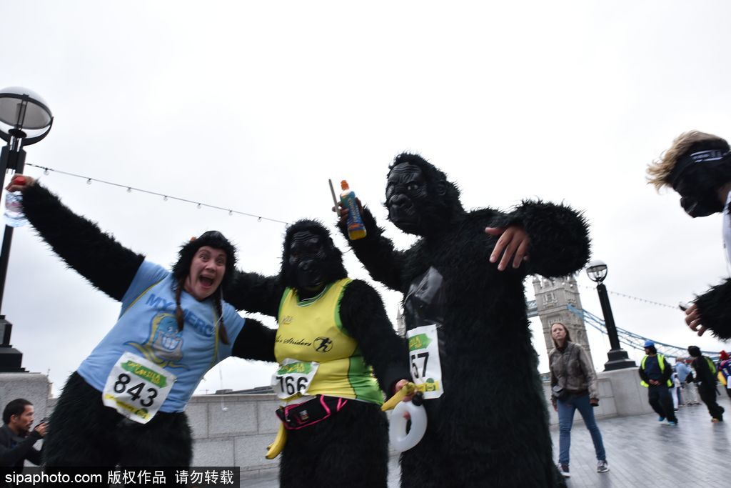 英国举办“大猩猩”慈善跑 人扮猩猩献爱心募款