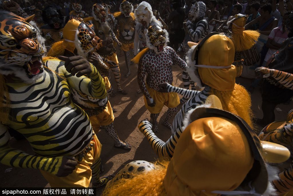 印度传统虎舞的台前幕后 表演者用颜料涂满全身化身“猛虎”