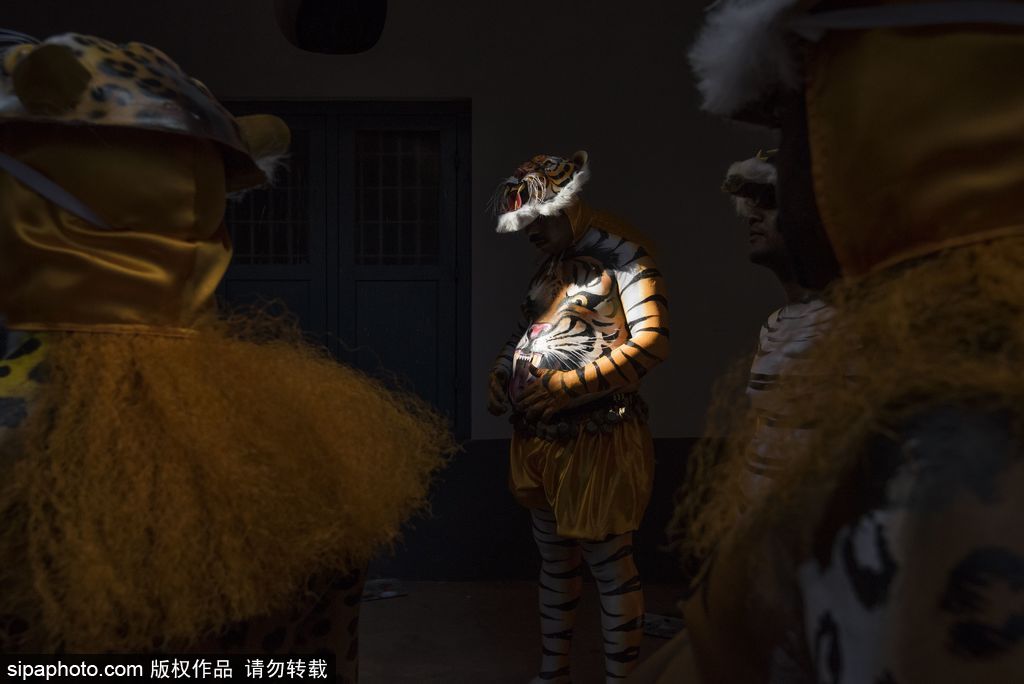 印度传统虎舞的台前幕后 表演者用颜料涂满全身化身“猛虎”