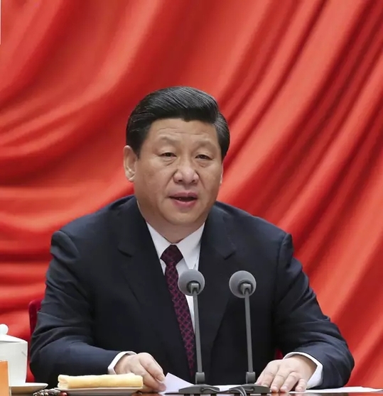 听习近平讲解党内政治生活的重要内容