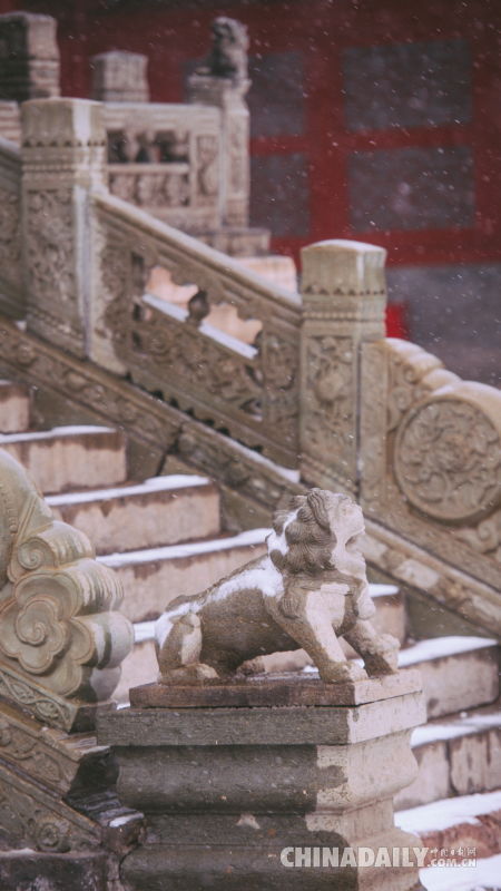 雪中故宫：白雪镶红墙 碎碎坠琼芳
