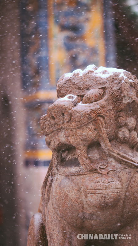 雪中故宫：白雪镶红墙 碎碎坠琼芳