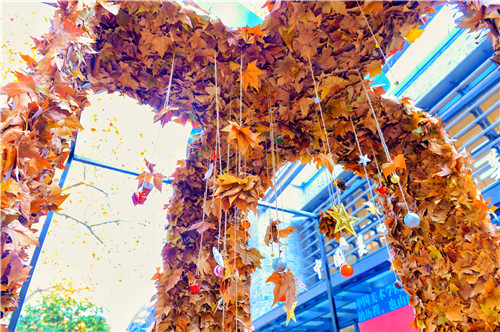 中国美院“落叶节”：叶子玩出“大阵仗”