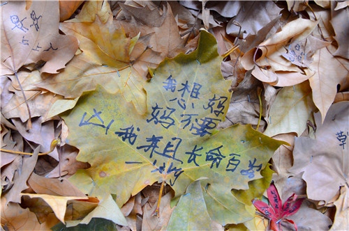 中国美院“落叶节”：叶子玩出“大阵仗”