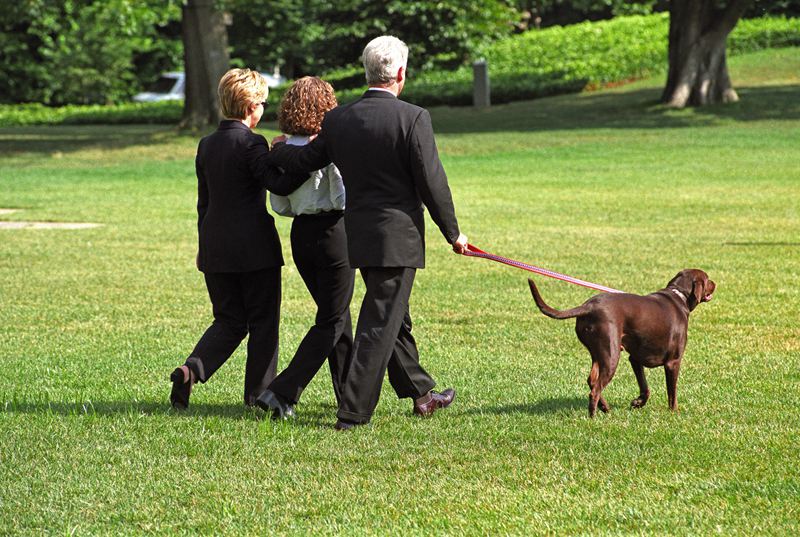 盘点入住白宫的历任“第一狗狗”