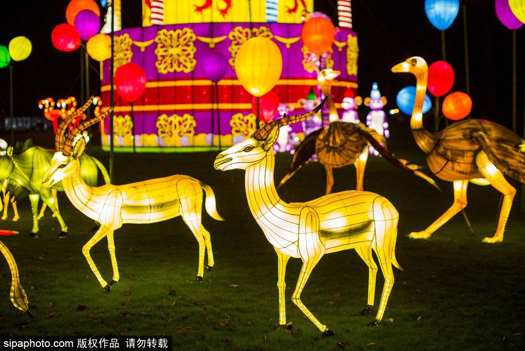 英国超大规模中国巨型灯笼会 丰富动物造型灯饰亮相