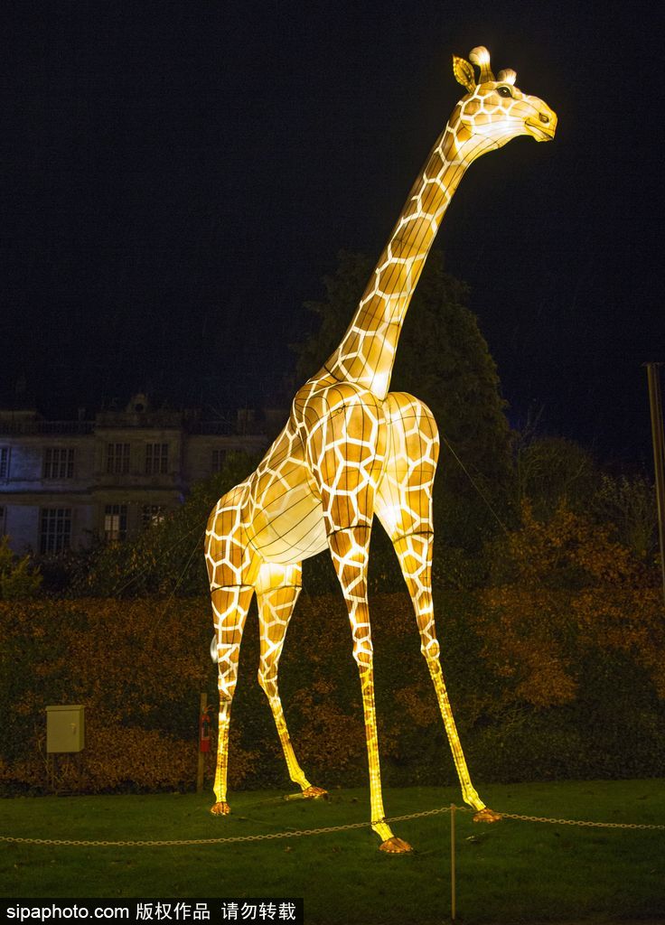 英国超大规模中国巨型灯笼会 丰富动物造型灯饰亮相