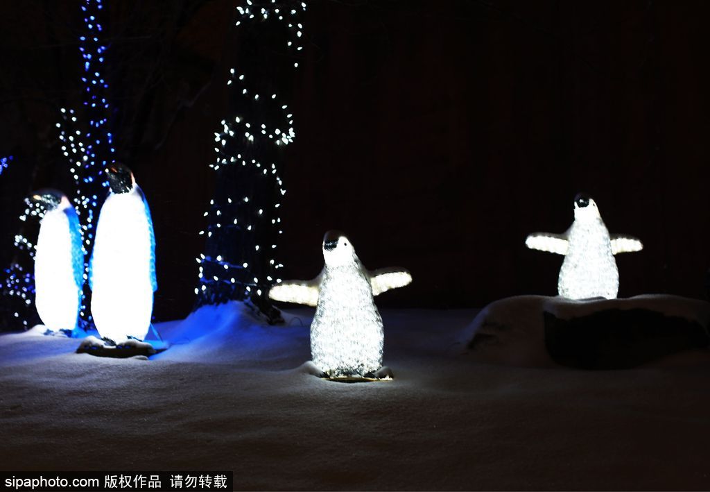 加拿大：卡尔加里公园亮起上万彩灯迎接圣诞节 造型各异趣味十足