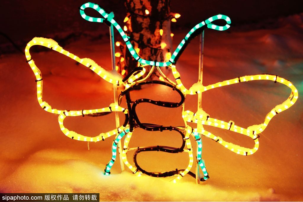 加拿大：卡尔加里公园亮起上万彩灯迎接圣诞节 造型各异趣味十足