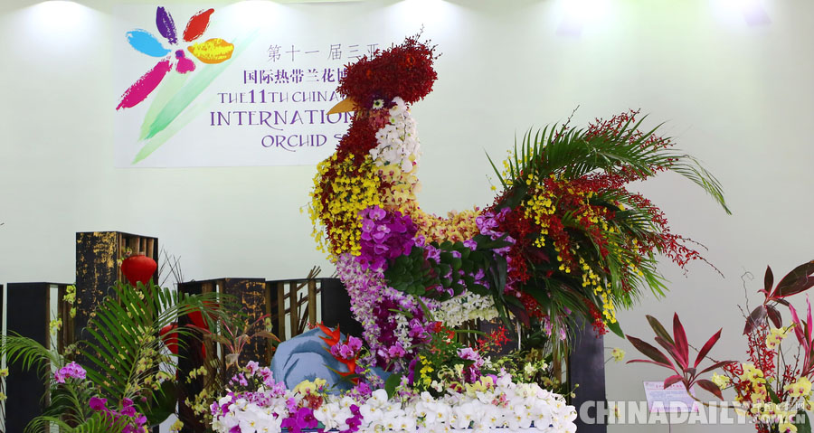 第十一届中国(三亚)国际热带兰花博览会开幕