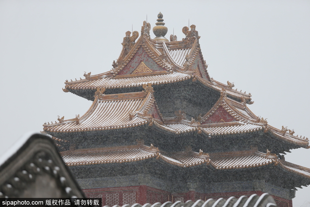 北京“鹅毛大雪”如约而至 故宫雪景美如画