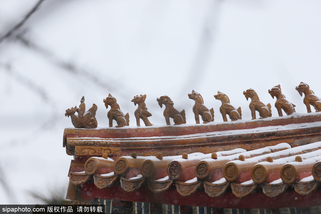 北京“鹅毛大雪”如约而至 故宫雪景美如画