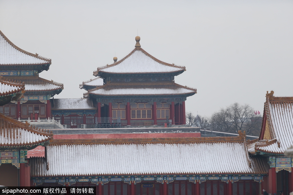 北京“鹅毛大雪”如约而至 故宫雪景美如画
